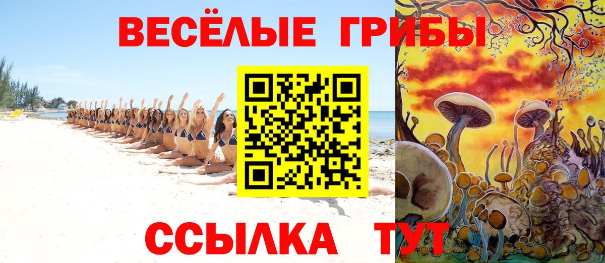 Псилоцибиновые грибы Magic Shrooms  Вход с VPN  магазин продажи   Звенигород 