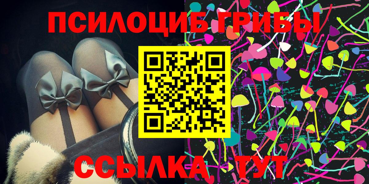 Псилоцибиновые грибы мухоморы Звенигород